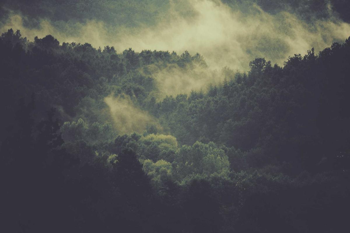 一线女星机场牵手女助理，经纪人连夜公关，整整一周持续发酵